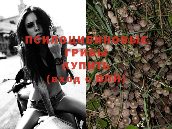 гашик Алзамай