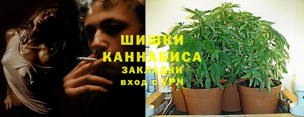 гашик Алзамай
