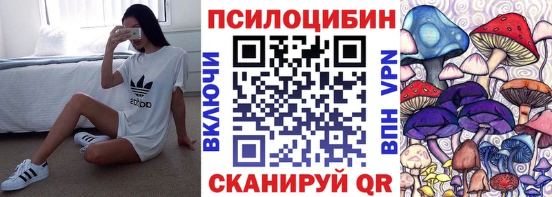 Псилоцибиновые грибы Psilocybe  Нижний Новгород 
